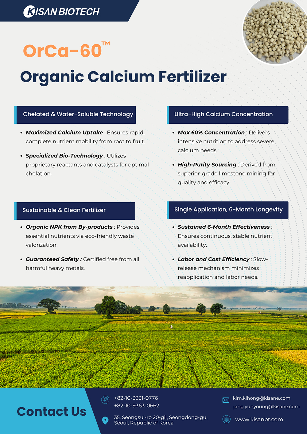 Catalog Page 2