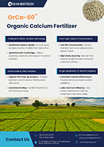 Catalog Page 2